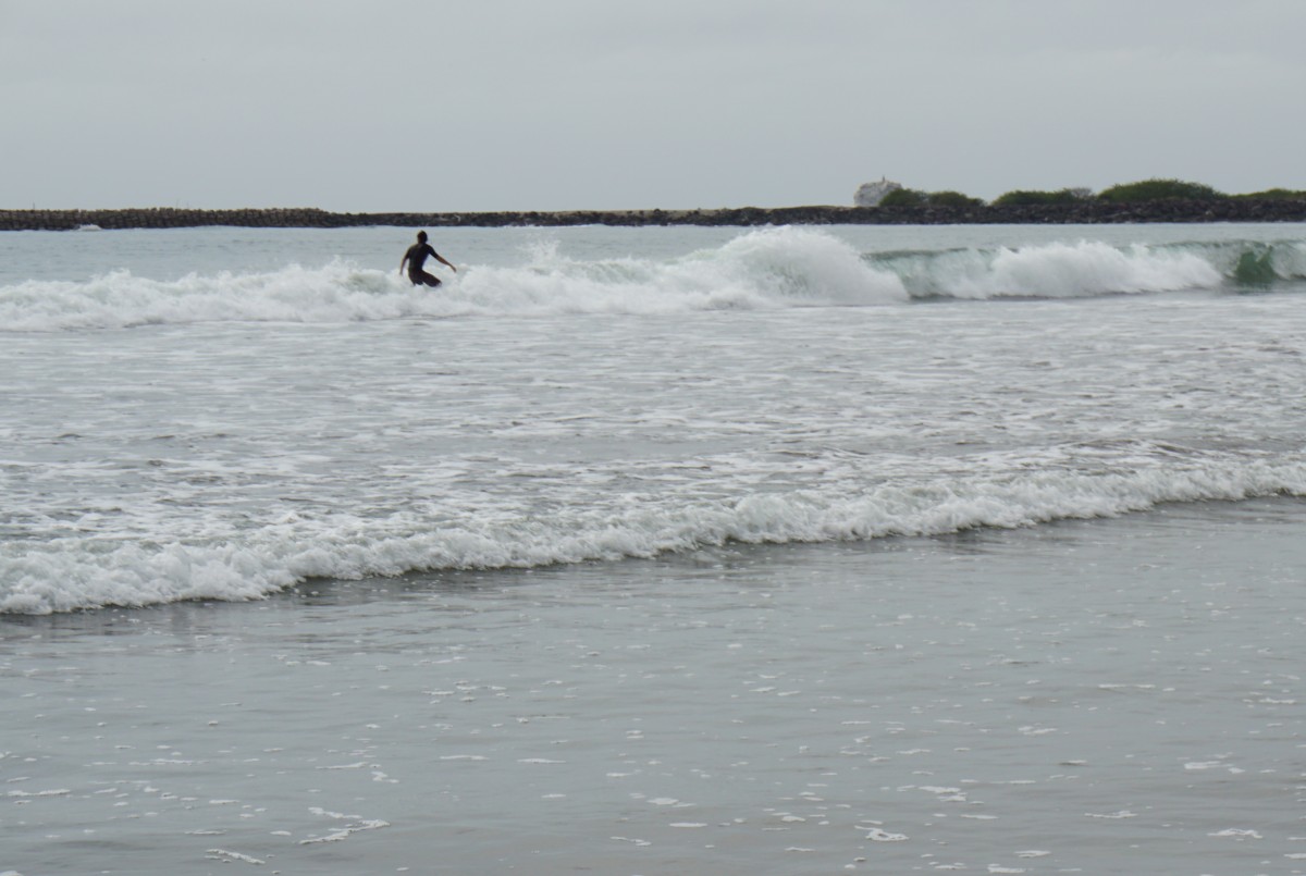 dsc00359
