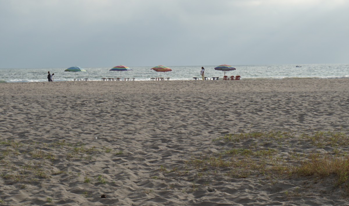 dsc00421