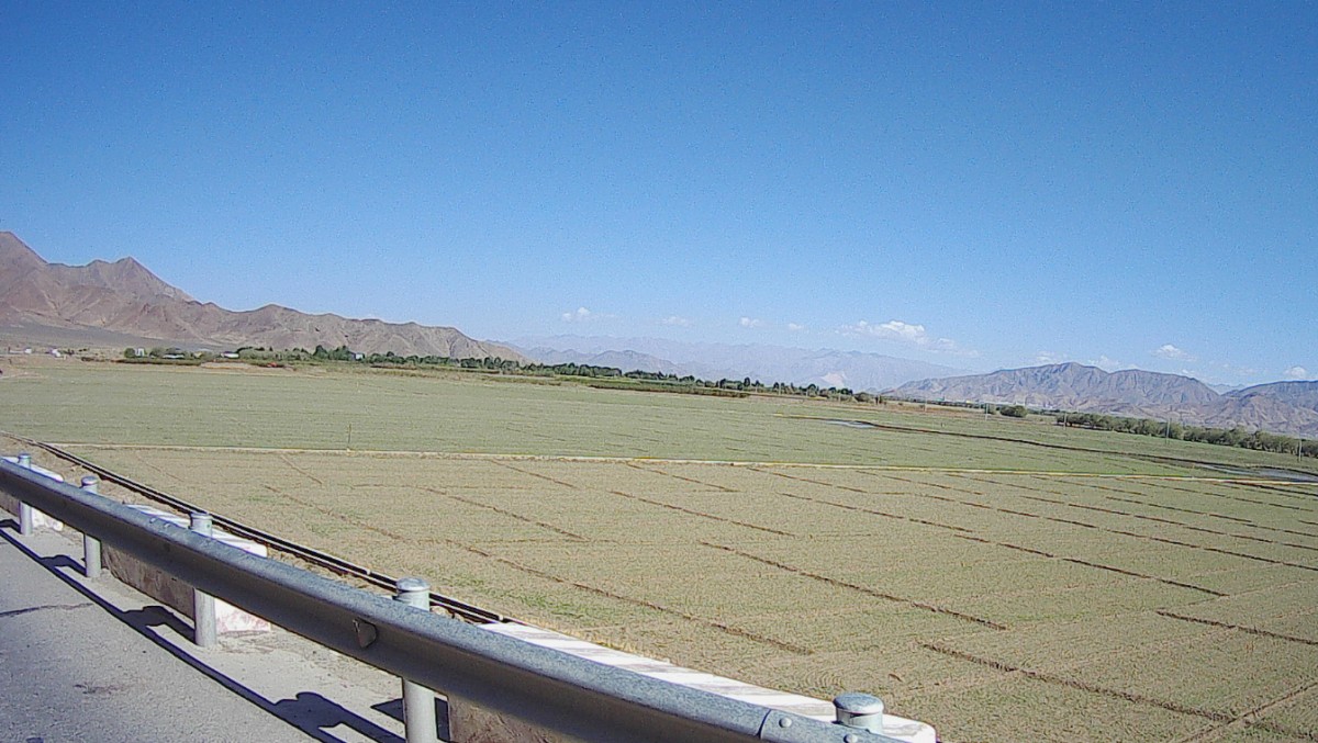 Cereal or grass fields at a high altitude.