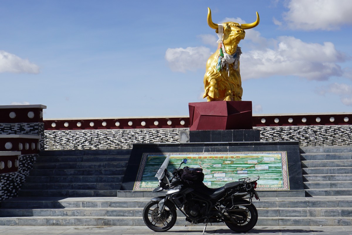 Golden bull and a black tiger.