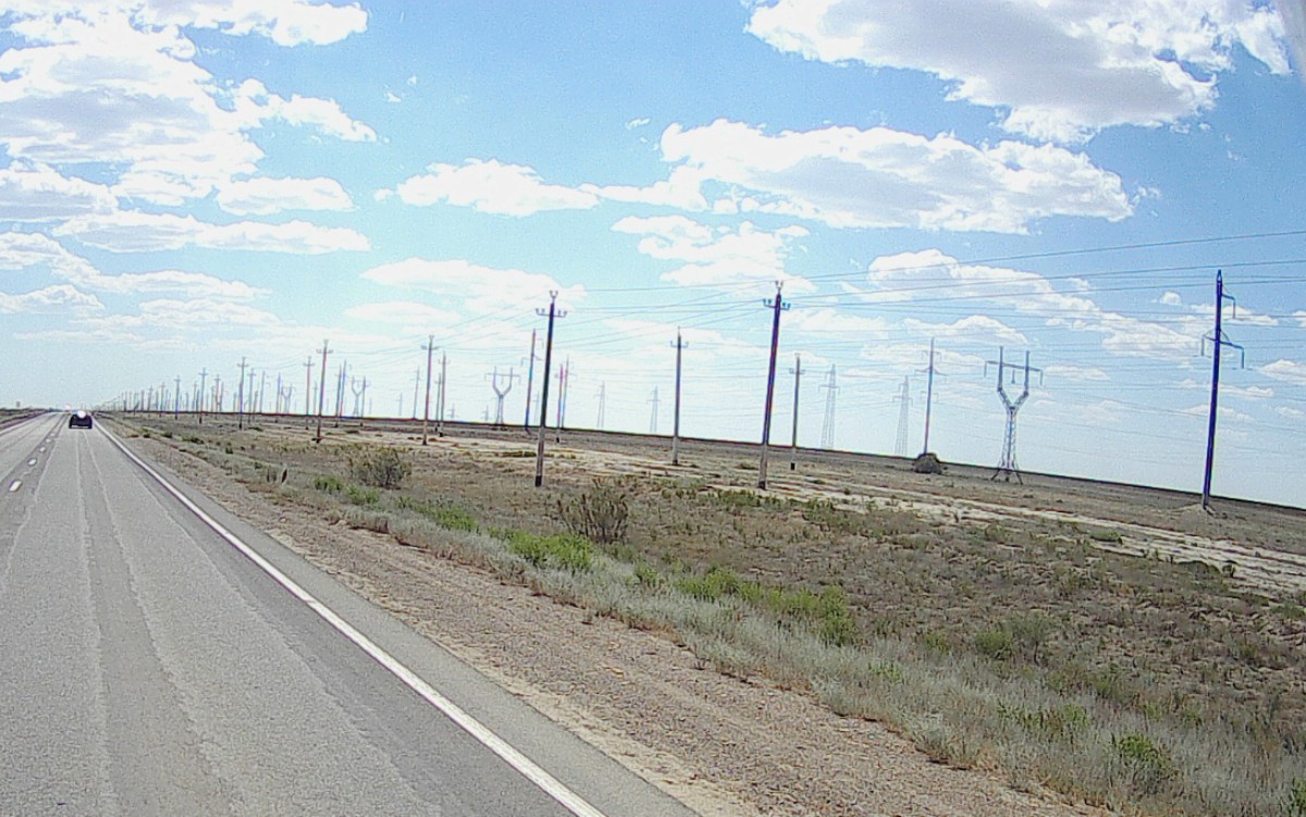 Lots of poles!