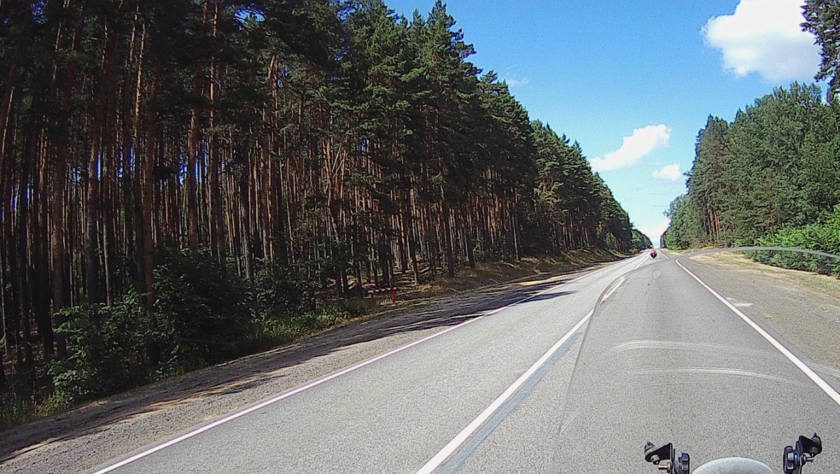 Finally some fir trees. Looks almost like Sweden.
