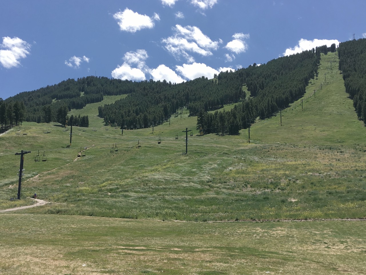 Great ski slope close to center of Jackson Hole.